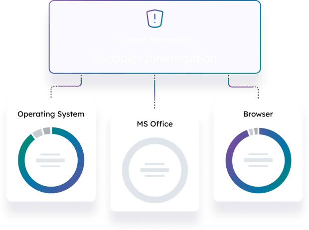 endpoint_interrogation